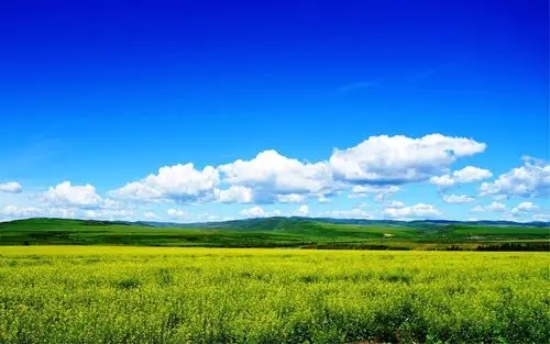 深港強(qiáng)化生態(tài)環(huán)境領(lǐng)域規(guī)則銜接與機(jī)制對(duì)接，攜手共赴美麗中國(guó)先行區(qū)之約 