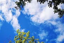 迎“藍”而上！直擊攀枝花、德陽、內江大氣攻堅現場