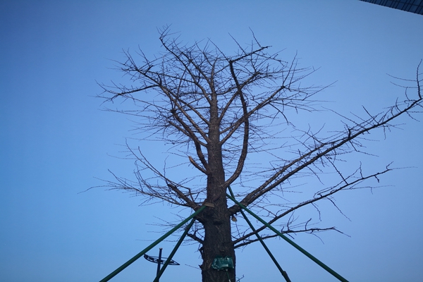 提“氣”質(zhì)丨打造2.0版本，實現(xiàn)“大數(shù)據(jù)”精準治污