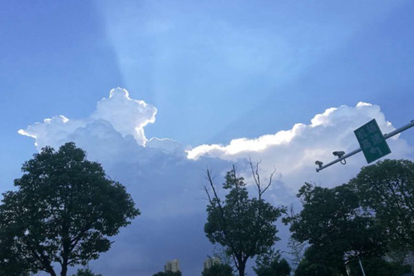 安徽臭氧防控的科技逆襲：走航監(jiān)測精準狙擊，污染天數(shù)驟降近三成！