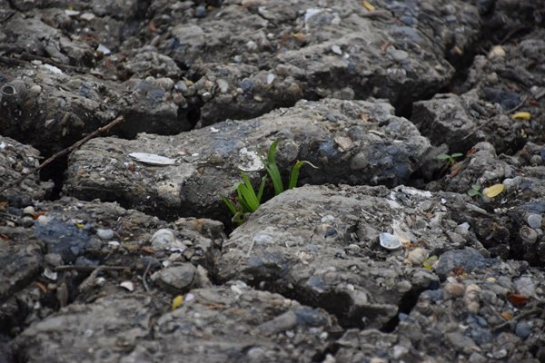 和田地區(qū)全域開展危廢規(guī)范化評估 守護生態(tài)環(huán)境安全