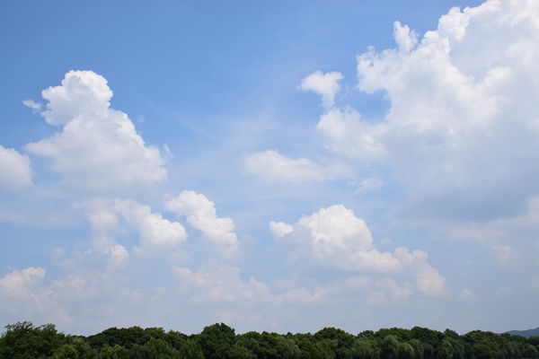 昌吉市大氣污染防治“提級管理”見實效 藍天保衛(wèi)戰(zhàn)再添新動能